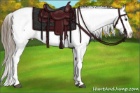 Horse Color:Buckskin Roan Fewspot 