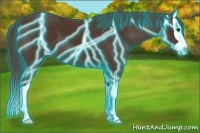 Horse Color:Thunderstruck Liver Chestnut Splash