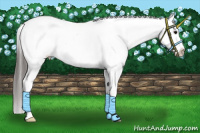 Horse Color:Black Sabino Splash Snowflake Varnish