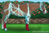 Horse Color:Thunderstruck Liver Chestnut Splash