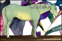 Horse Color:Watercolor Chestnut 