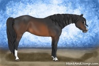 Horse Color:Brown Sabino 