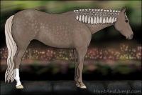 Horse Color:Silver Black 