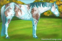 Horse Color:Thunderstruck White Spotted Bay Ice