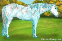 Horse Color:Thunderstruck Chestnut Sabino 