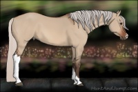Horse Color:Silver Bay Dun