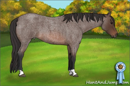 Horse Color: Bay Roan 