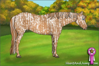 Horse Color:Bay Dun Splash Tobiano Varnish  Brindle