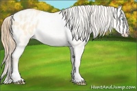 Horse Color:White Spotted Buckskin Pearl Dun Varnish 