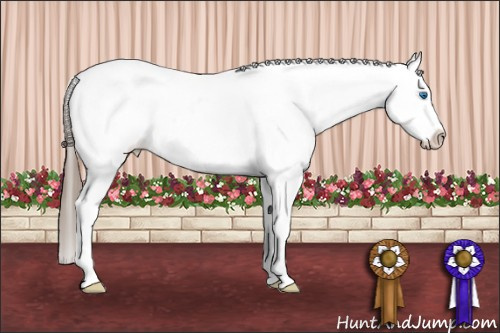 Horse Color: White Spotted Grullo Splash Snowcap 
