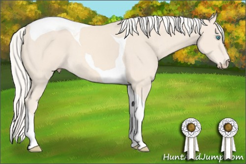 Horse Color: Cremello Tobiano 