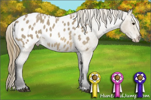Horse Color: White Spotted Buckskin Roan Blanket 