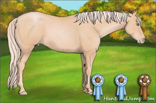 Horse Color: Chocolate Palomino Pearl 
