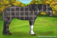 Horse Color:Plaid  Black 