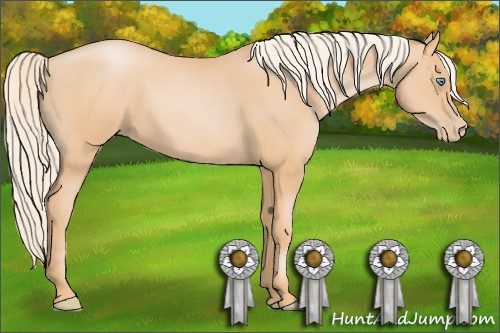 Horse Color: Chocolate Palomino Pearl 