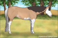 Horse Color:Bay Roan Dun Splash