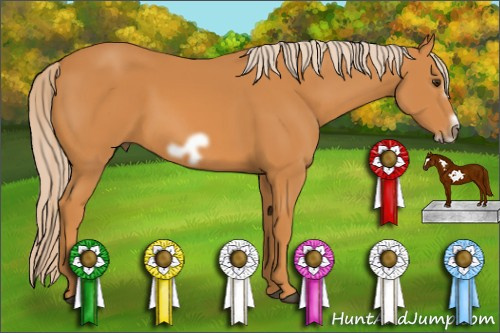 Horse Color: Chocolate Palomino Frame 
