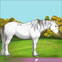 Horse Color:White Spotted Brown 