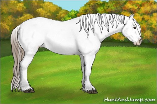 Horse Color: Smoky Blue Roan Varnish Rabicano 