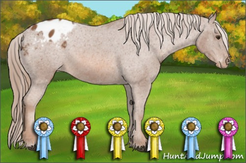 Horse Color: Chestnut Sabino Blanket 