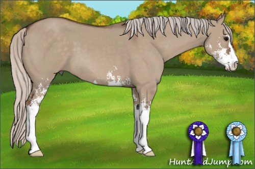 Horse Color: Silver Brown Dun Sabino 