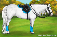 Horse Color:White Spotted Cremello Appaloosa 