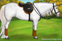 Horse Color:White Spotted Palomino Snowcap 