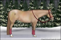 Horse Color:Black Pearl