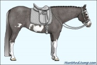 Horse Color:Smoky Blue Roan Splash Frame 