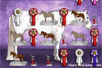 Horse Color:Grullo Pearl Sabino