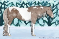 Horse Color:Silver Black Sabino Tobiano 