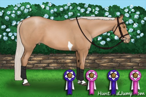 Horse Color: Silver Black Pearl Sabino Tobiano 