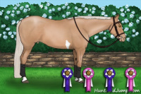 Horse Color:Silver Black Pearl Sabino Tobiano 