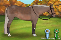 Horse Color:Silver Black 
