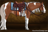 Horse Color:Silver Bay Splash Tobiano 