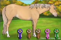 Horse Color:Gray Gold Cream Champagne Dun 