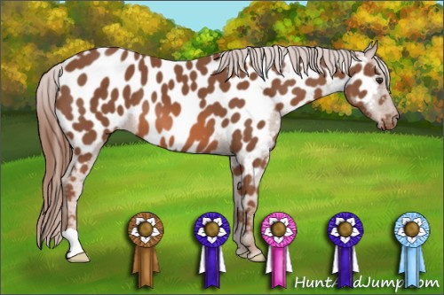 Horse Color: Chestnut Near Leopard 