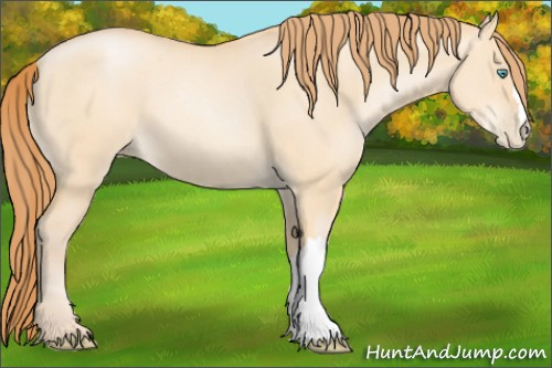 Horse Color: Buckskin Pearl Dun 