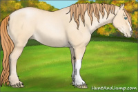 Horse Color:Buckskin Pearl Dun 
