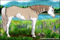 Horse Color:Red Dun Splash 