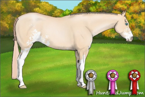 Horse Color: Palomino Pearl Dun Sabino 