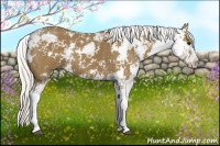 Horse Color:Silver Smoky Black Sabino 