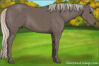 Horse Color:Silver Black 