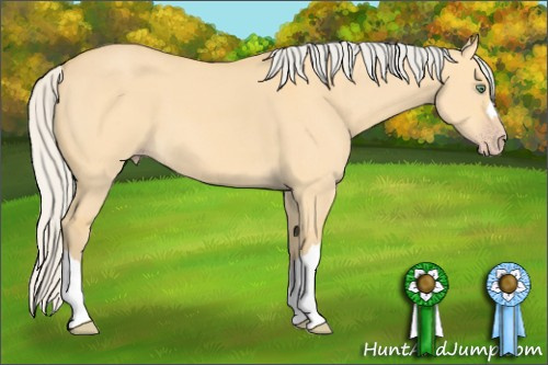 Horse Color: Silver Amber Cream Champagne Dun 