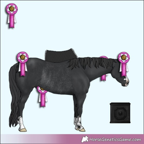 Horse Color: Black Rabicano 