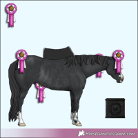 Horse Color:Black Rabicano 