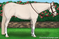 Horse Color:Perlino 