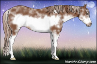 Horse Color:Chestnut Sabino Splash Frame Rabicano 