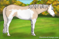 Horse Color:Silver Classic Champagne Roan Dun Splash Frame