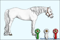 Horse Color:Gray Black 